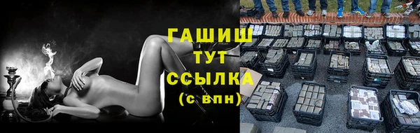 ECSTASY Богданович