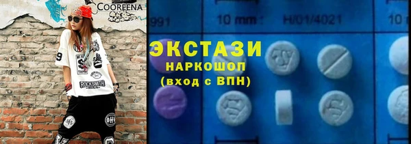 ECSTASY Богданович