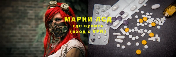ECSTASY Богородицк