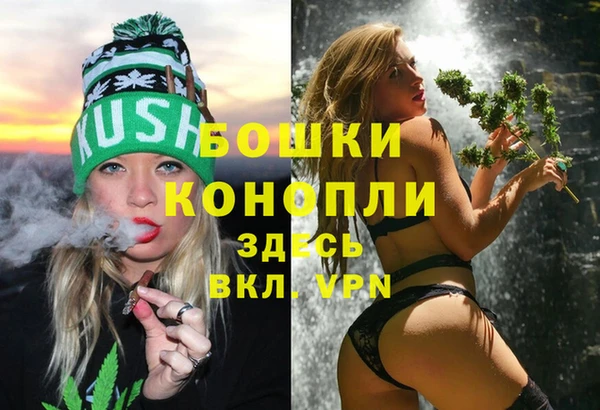 ПСИЛОЦИБИНОВЫЕ ГРИБЫ Богородск