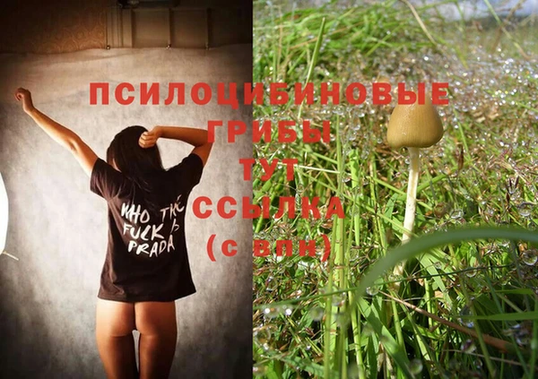 ECSTASY Богданович