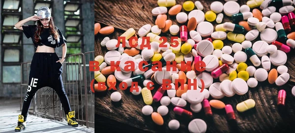 ECSTASY Богородицк