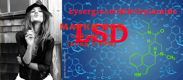 ECSTASY Богданович