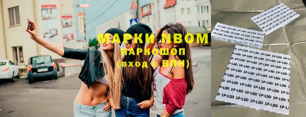 ECSTASY Богданович