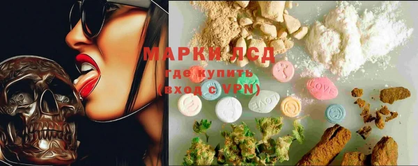ECSTASY Богородицк