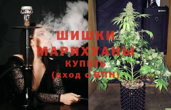 ПСИЛОЦИБИНОВЫЕ ГРИБЫ Богородск
