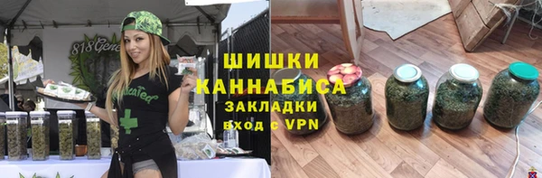 ECSTASY Богданович