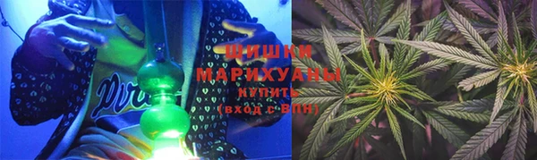 ECSTASY Богданович