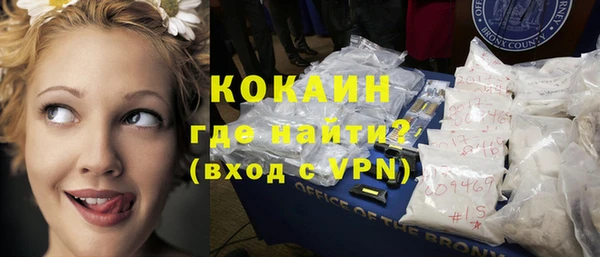 ECSTASY Богородицк