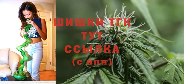 ECSTASY Богородицк