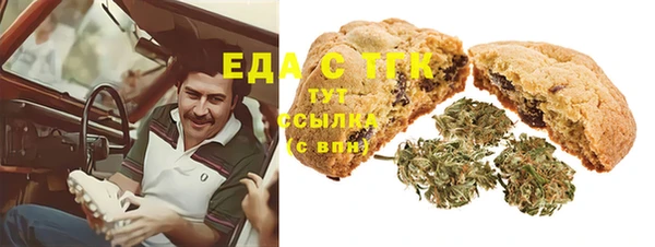 ECSTASY Богданович