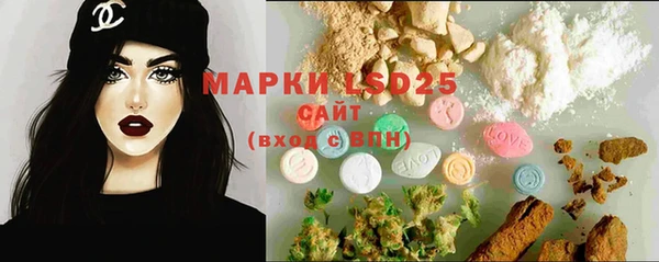 ECSTASY Богданович