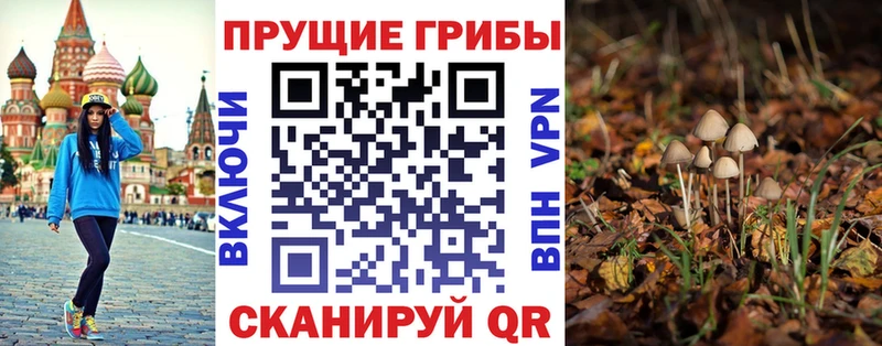 Купить закладки  Богданович  Псилоцибиновые грибы Magic Shrooms 
