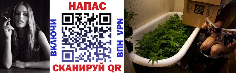 Бошки марихуана Bruce Banner  Купить закладки  Богданович 